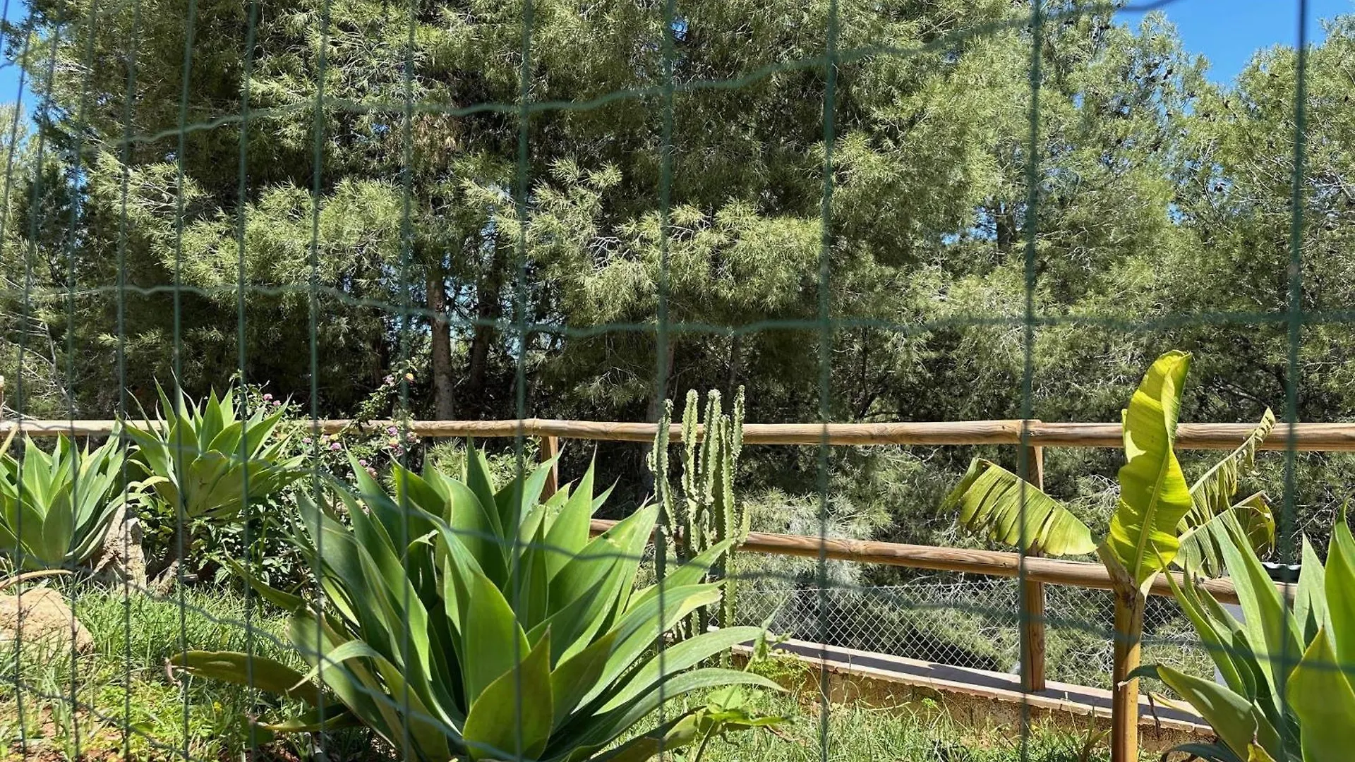 La Casona Del Pinar Jacuzzi & Swiming Pool Villa Alhaurin de la Torre 0*,  Spain